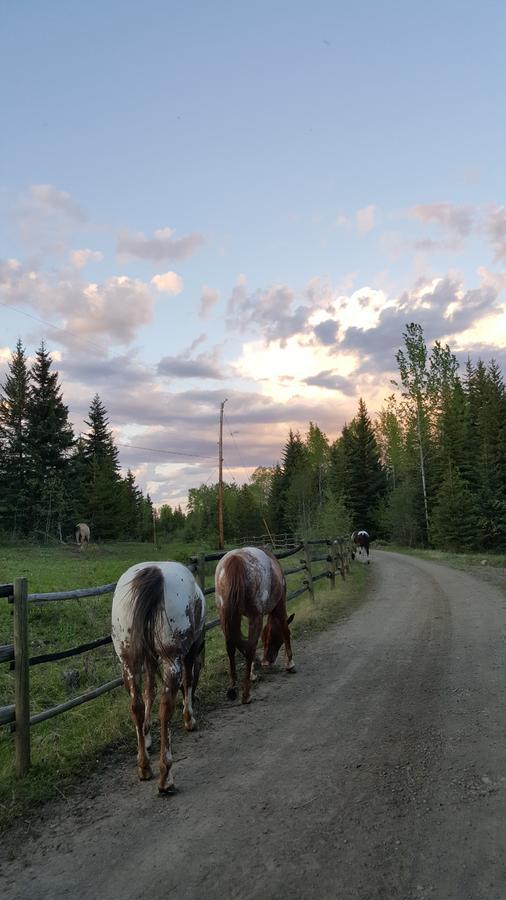 Wettstone Guest Ranch Bed & Breakfast Bridge Lake Bagian luar foto