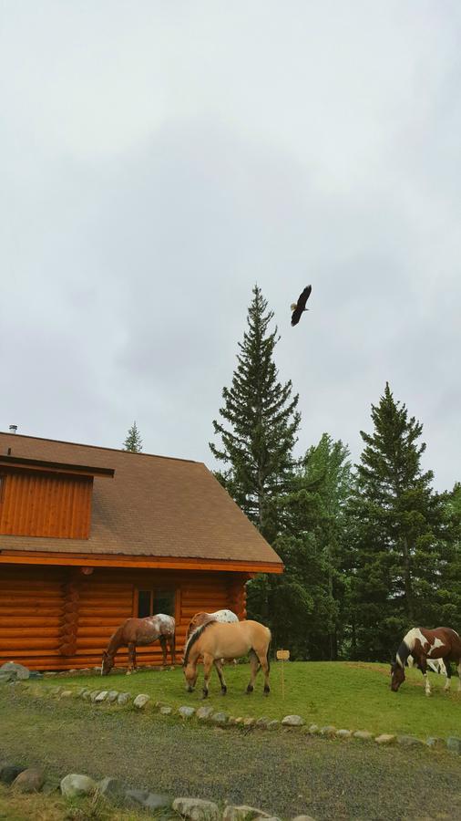 Wettstone Guest Ranch Bed & Breakfast Bridge Lake Bagian luar foto