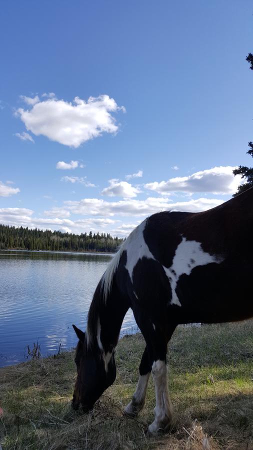 Wettstone Guest Ranch Bed & Breakfast Bridge Lake Bagian luar foto