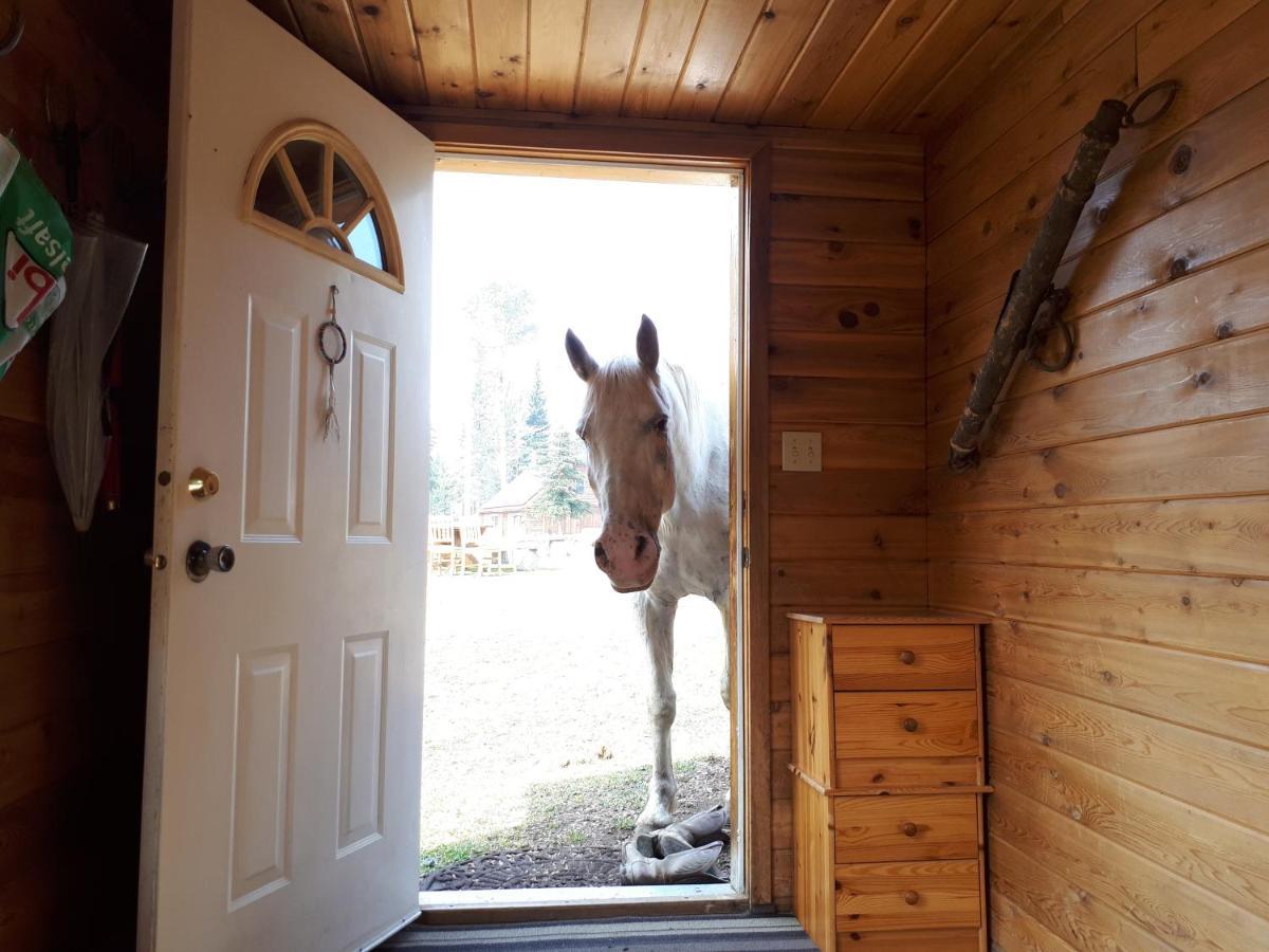 Wettstone Guest Ranch Bed & Breakfast Bridge Lake Bagian luar foto